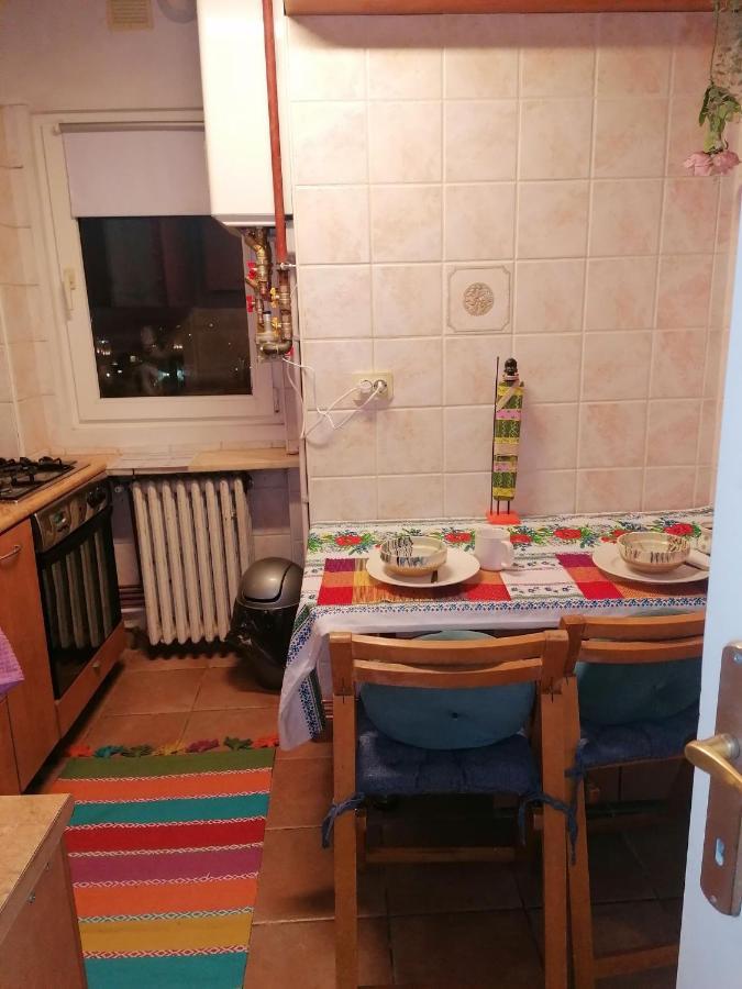 River View, In City Center Apartment 布加勒斯特 外观 照片