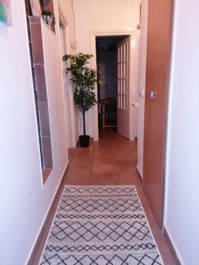 River View, In City Center Apartment 布加勒斯特 外观 照片