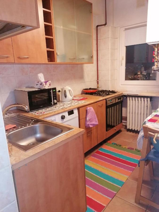 River View, In City Center Apartment 布加勒斯特 外观 照片
