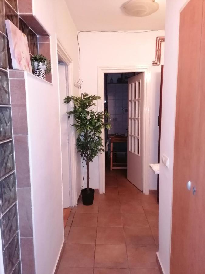 River View, In City Center Apartment 布加勒斯特 外观 照片