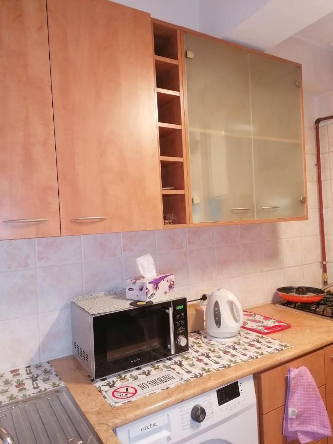 River View, In City Center Apartment 布加勒斯特 外观 照片